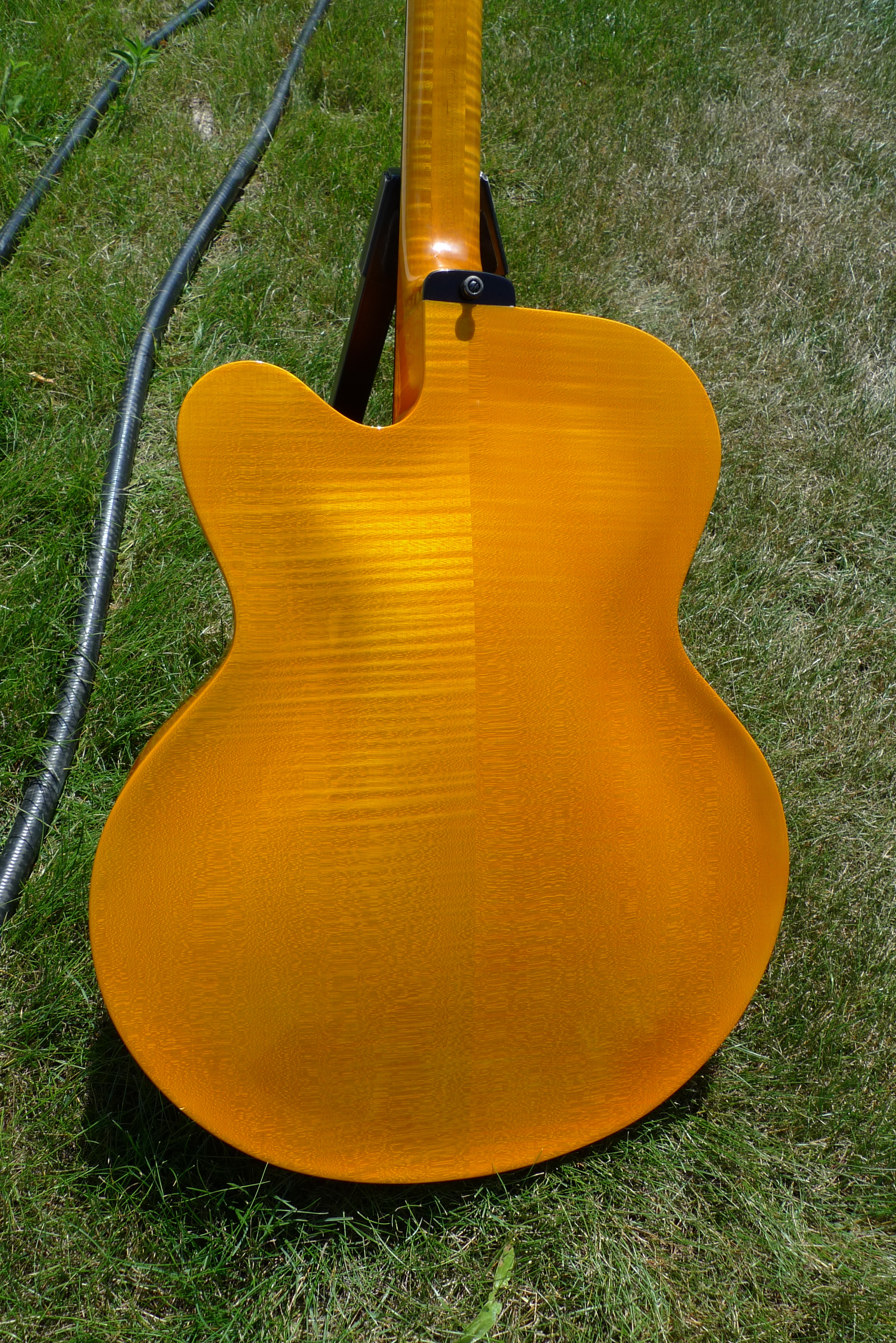 Model N OO Acoustic