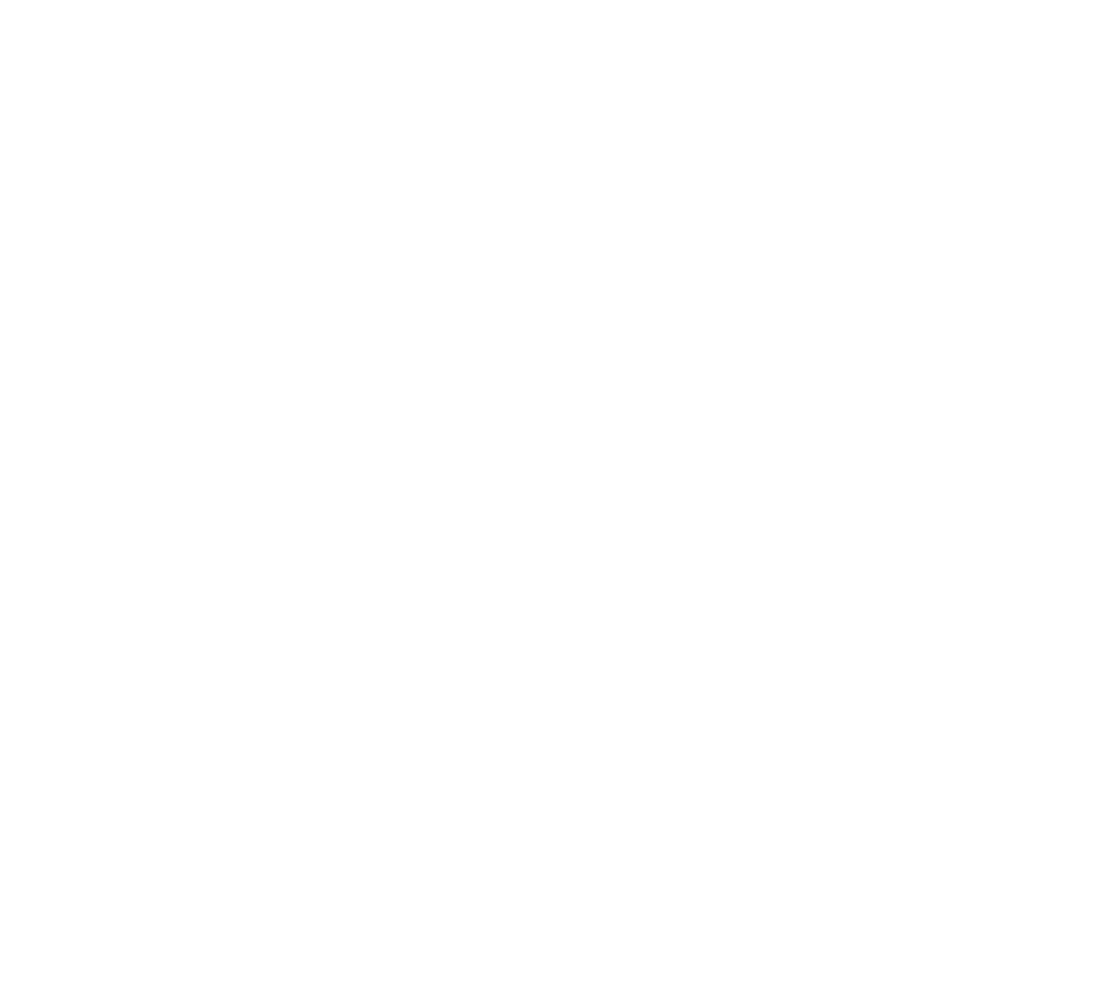 Model N