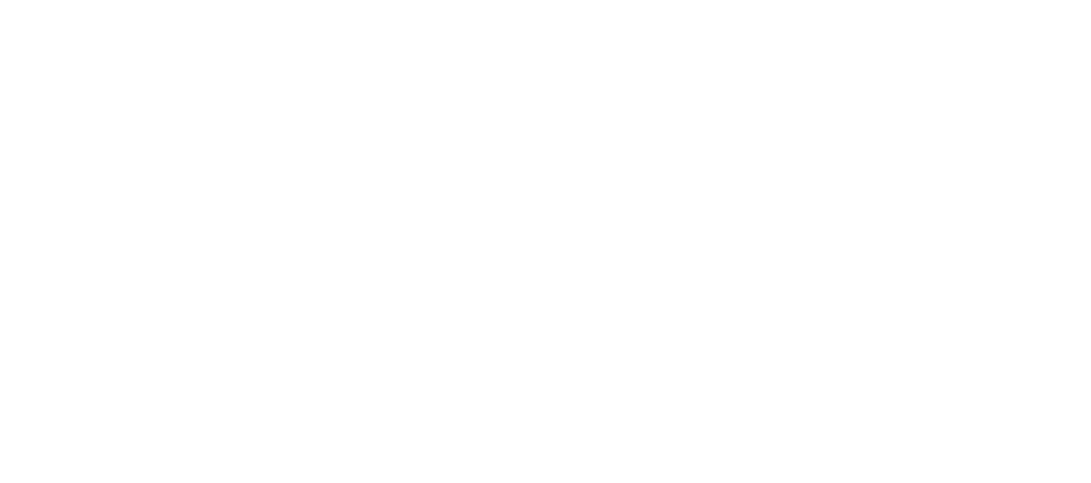Model N